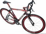 11TK_Shack_Fairey_Madone_UpperFA_a.jpg