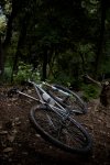 Moots10.jpg