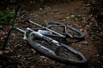 Moots40.jpg