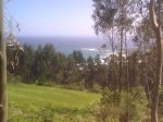 15052011274.jpg