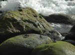 DSC_8578.JPG