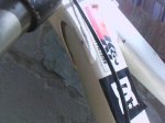 IMG0054A.jpg