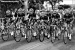 atoc11st04-leopard.jpg