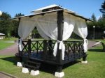 carpa.jpg