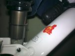19052011_002.JPG