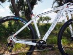 orbea_alma_29er_frame_600.jpg