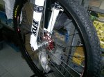 20052011560 (Medium).jpg