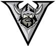 vikingo 3.jpg