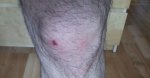 DSC00332.jpg