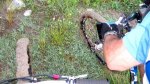 IMG_6101.jpg