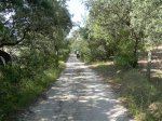 DSCN7444 (Medium).JPG