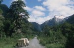 28-4%20Carretera%20Austral_JPG.jpg