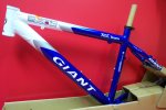 XTCBlueWhite17Inch.jpg