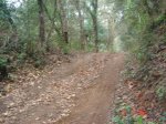 ruta montnegre 1 027.JPG