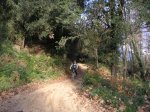 vallgorguina 24-12-06012.JPG