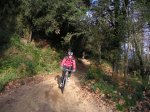 vallgorguina 24-12-06014.JPG