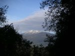 vallgorguina 24-12-06016.JPG