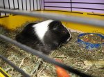 IMG_0455.jpg