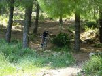 prueba (37).jpg