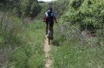 FOTOS IBEX 124 (Large).jpg