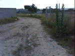 DSC00784.jpg