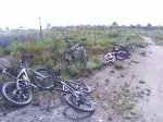 DSC00786.jpg