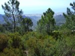 IMG_0016.JPG