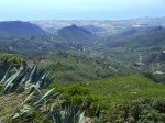 IMG_0019.JPG