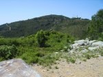 IMG_0034.JPG