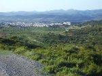IMG_0050.JPG