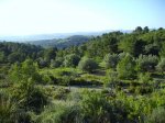 IMG_0053.JPG