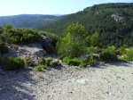 IMG_0061.JPG