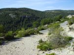 IMG_0060.JPG