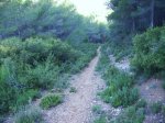 IMG_0054.JPG