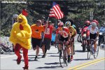 atoc11st07-chicken.jpg