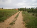 6 (Copiar).JPG