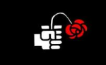 rosa psoe.png