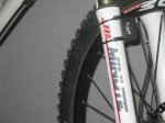 yeti 5.jpg