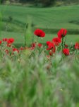 DSC_5054.jpg