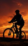night-bike-rider.jpg
