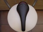 DSC00923.JPG