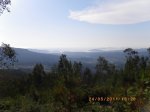 IMGP0430.JPG
