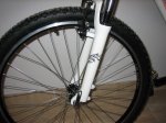 BH rueda del.JPG