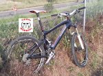 Factor RR 2011-2-2.jpg