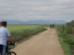 Camino a Consuegra (Small).JPG