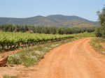 Camino chulo (Small).JPG