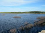 Guadiana (Small).JPG
