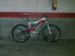 Imagen0325-red.JPG