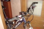 DSC03823.JPG