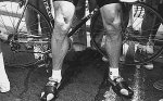 Sean Kelly Legs.jpg